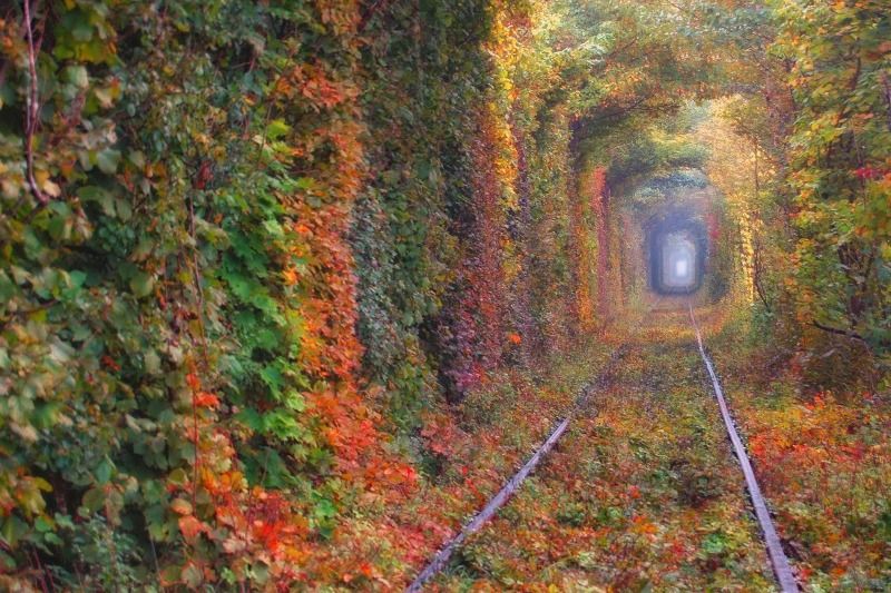 tunnel of love