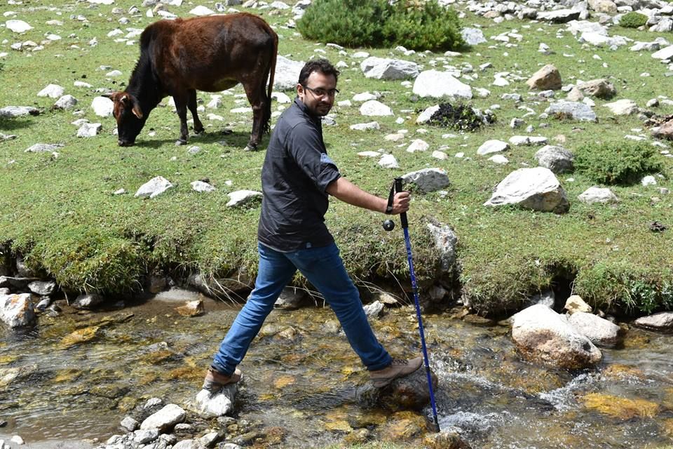 My friend is crossing a stream while a cow caught in a picture