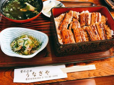 Grilled eel on the rice.