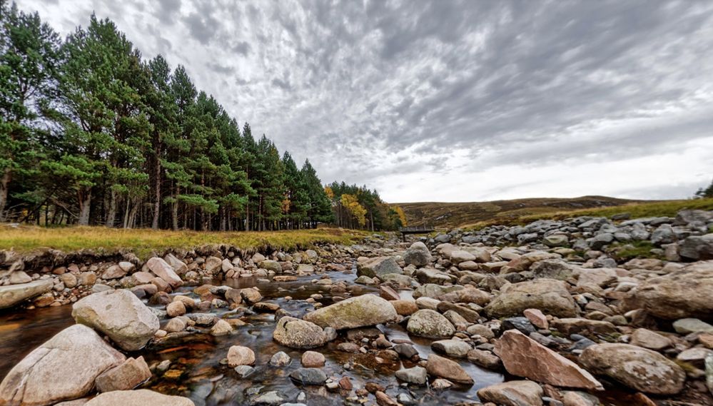 Caption: A photo of River Muick, a river in Ballater, Scotland, covered in different sized rocks and surrounded by pine trees. (Local Guide Neil Longdin)