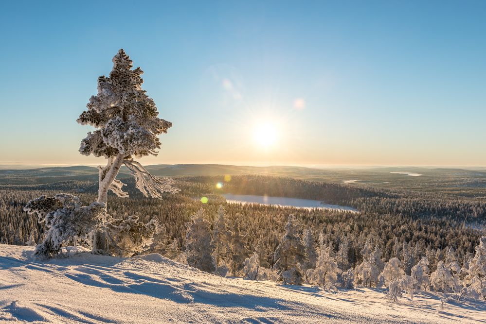 February afternoon at Ylläs Finland