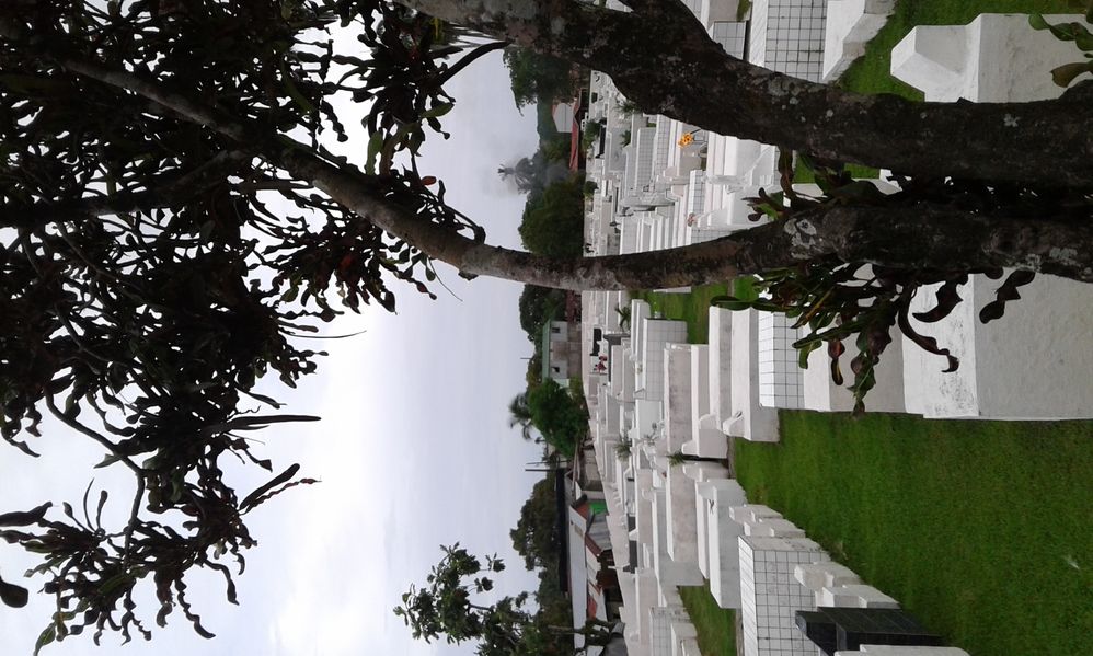 Cementerio Municipal Limón, Costa Rica.