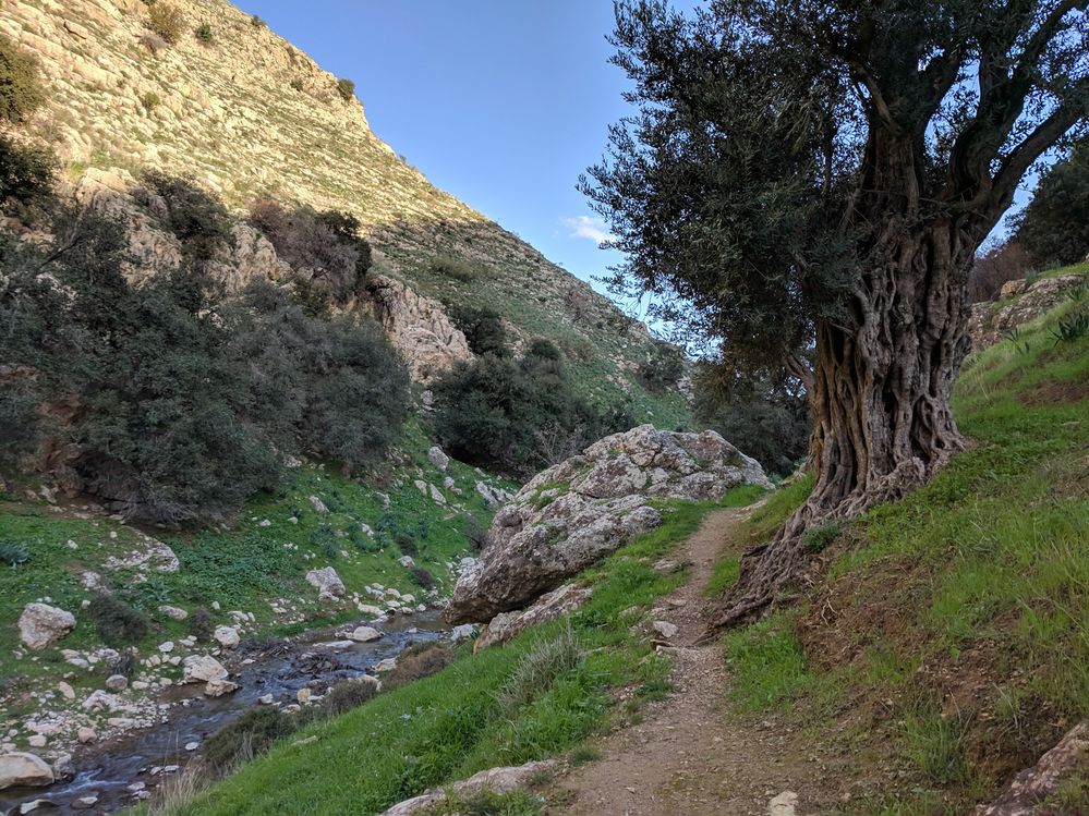 Wadi al Rayyan trail 1
