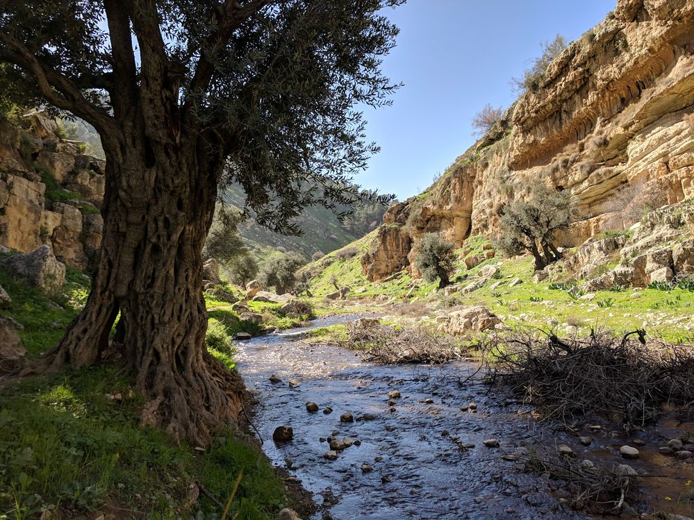 Wadi Al Rayyan Water Stream