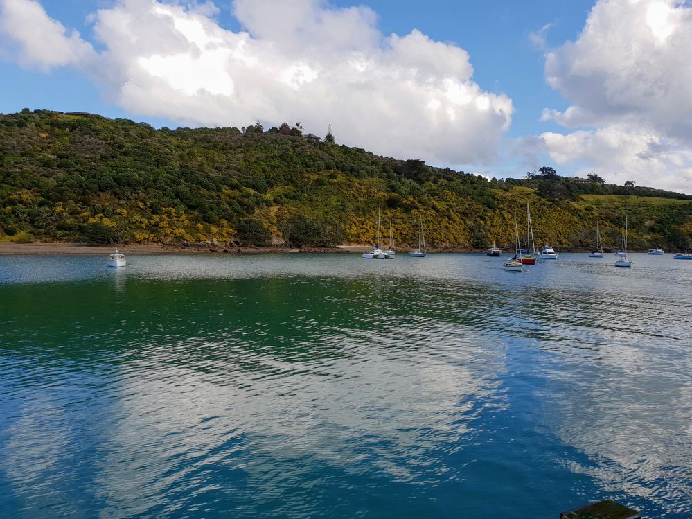 Caption: A landscape photo taken at Waiheke Island with boats in the waters of Matiatia Bay with green trees visible over the hill, New Zealand (Local Guide @LuigiZ)