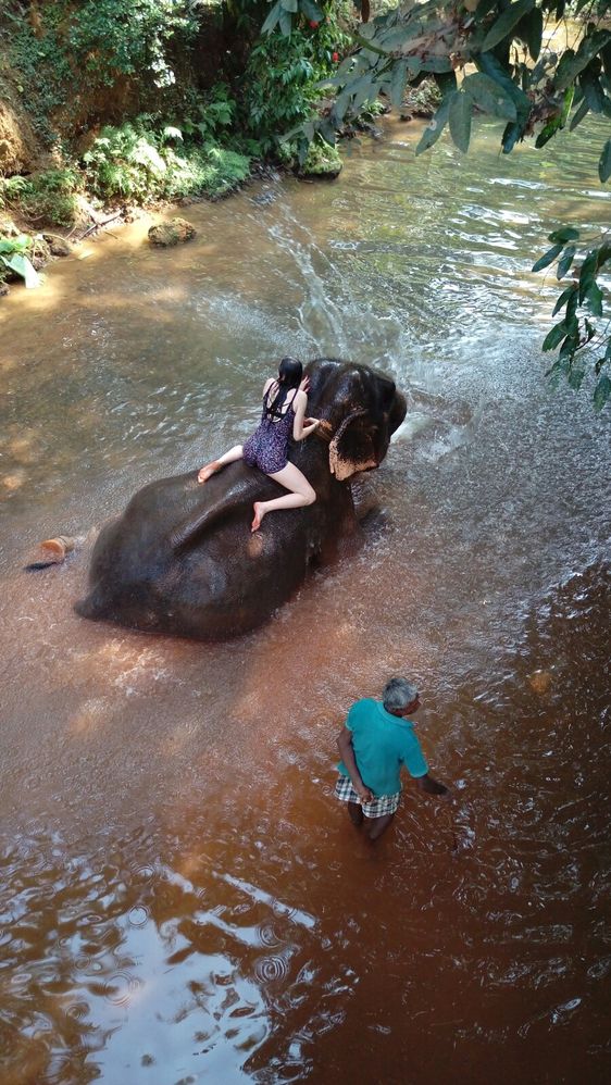 Elephant Shower, Spice Garden, Goa