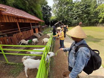 Judul: Salah satu peserta memberi makan seekor domba. Credit: Local Guides Mutiah A