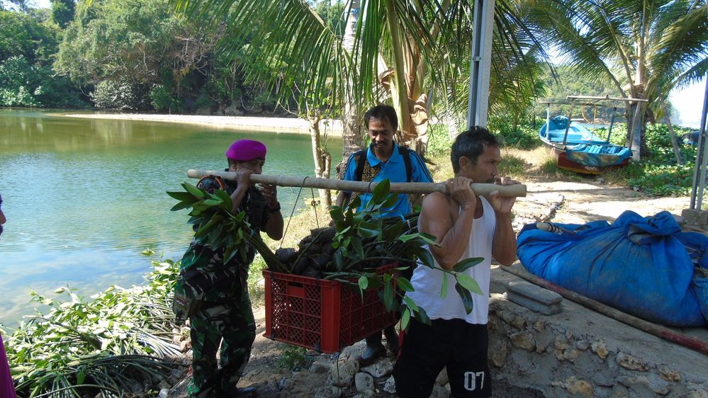 Indonesian Navy and Fishermen Kondangmerak Doing Planting Mangrove Activity