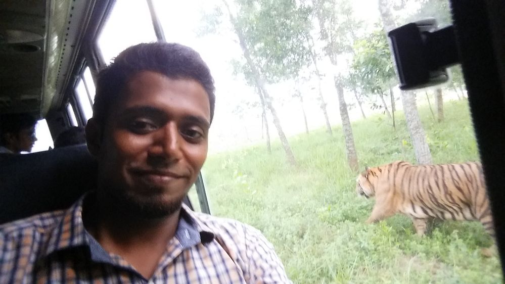 Selfie With Royal Bengal TIger