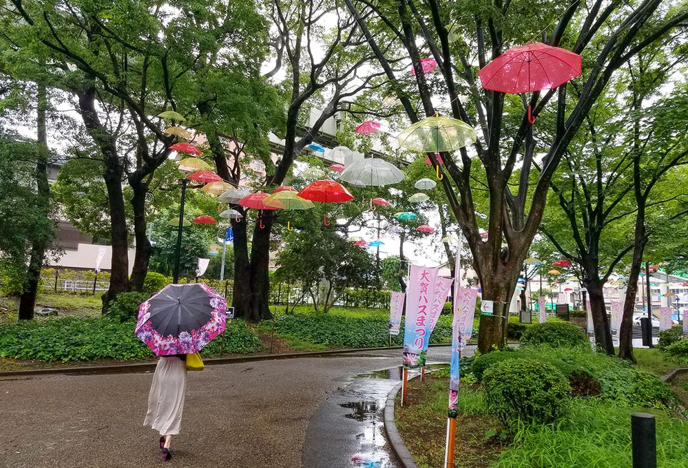 Caption: A photo of the back view of a person walking with a floral umbrella on a pathway in Chiba Park in Chiba, Japan. Umbrellas are hung overhead in the trees along the path. (Local Guides Yoshitaka Yasuda)