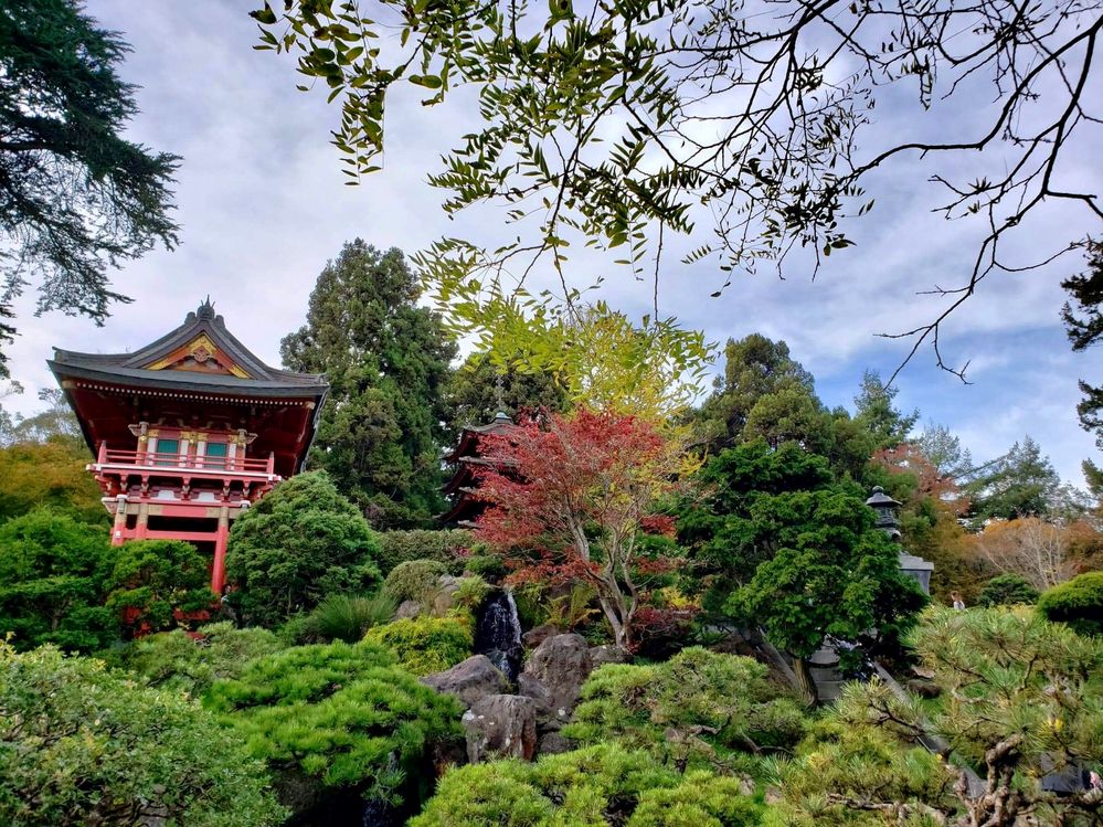 Japanese Tea Garden, San Francisco, California