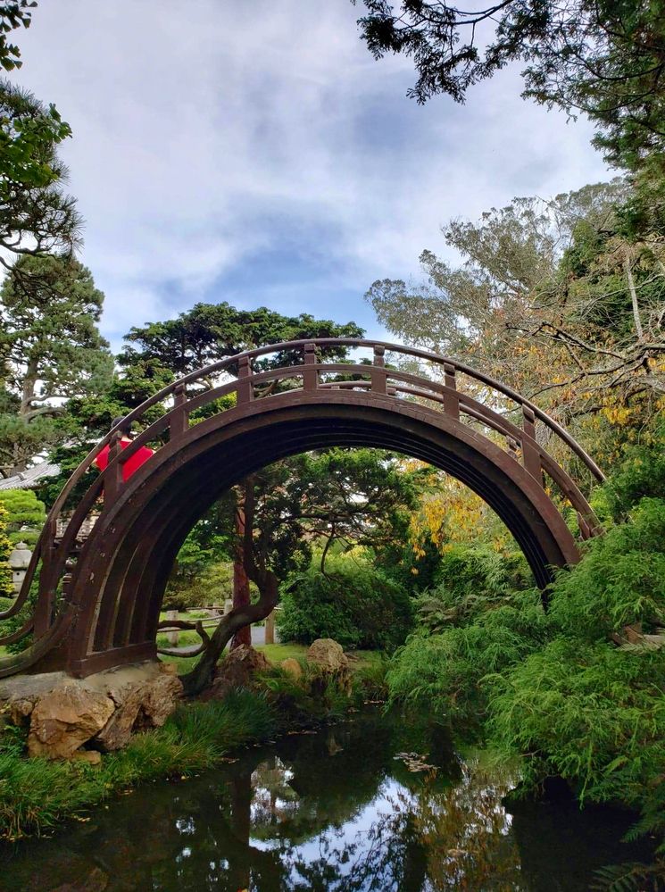 Japanese Tea Garden, San  Francisco, California