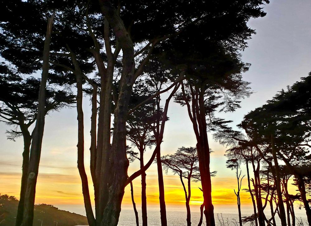 Lands End Lookout, San Francisco, California