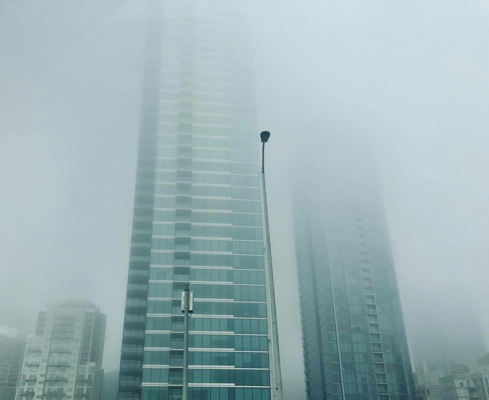 Foggy day in San Francisco, California