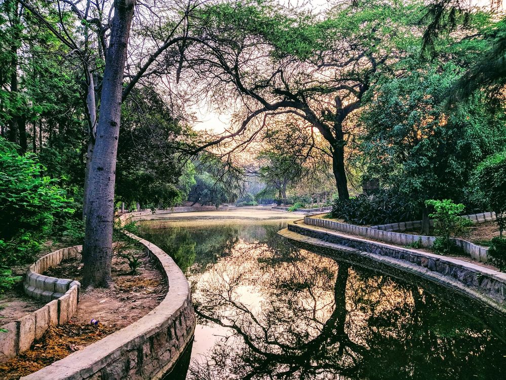 A Satisfying and Scintillating view of a lake in Lodhi Garden, New Delhi, India