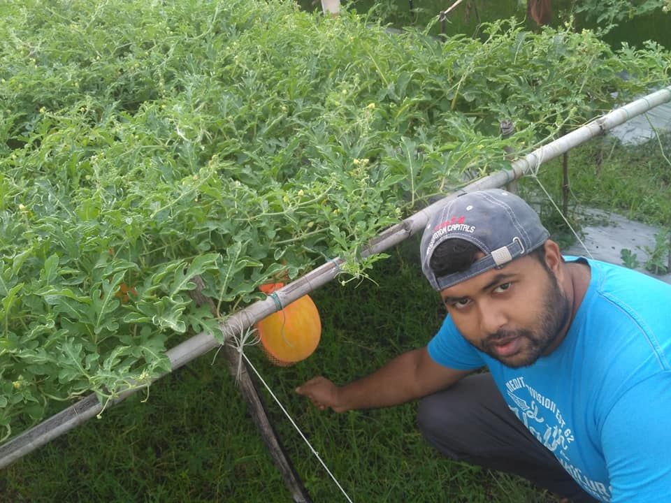 Me taking a picture in the watermelon farm