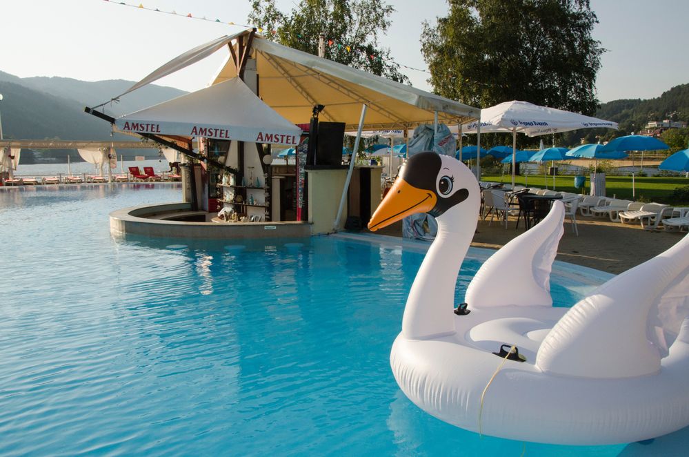Caption: A photo of an inflatable swan floating in a pool at Korali Swimming Pool, with a bar and several umbrellas and sunbeds behind it. (Local Guide Ivo Dimitrov)