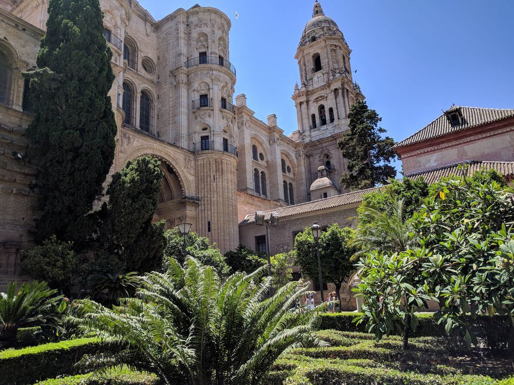 Caption: A photo of the Malaga Cathedral with a lush garden of tall green trees and bushes in front of it. (Local Guide @MoniDi)