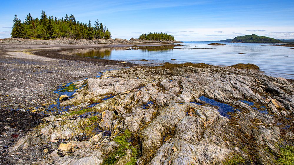 Caption: A photo of a rocky waterfront lined with trees on the St. Lawrence River in Parc National du Bic in Quebec, Canada. (Local Guide Julien Schroder)