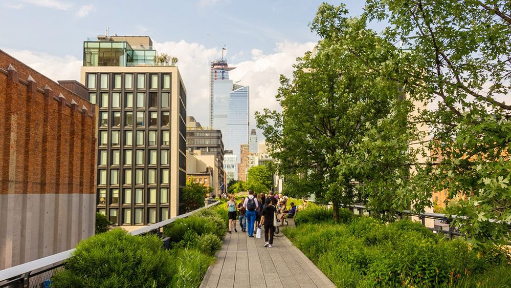 Caption: A photo of pedestrians walking on an elevated walkway of The High Line, a park in New York City. The walkway is lined with trees and plants and the park is surrounded by buildings. (Local Guide Michele Aiello)