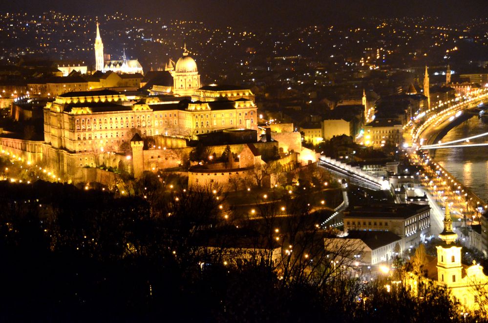 Local Guides Connect - Budapest from the Citadella: what a view! - Local  Guides Connect