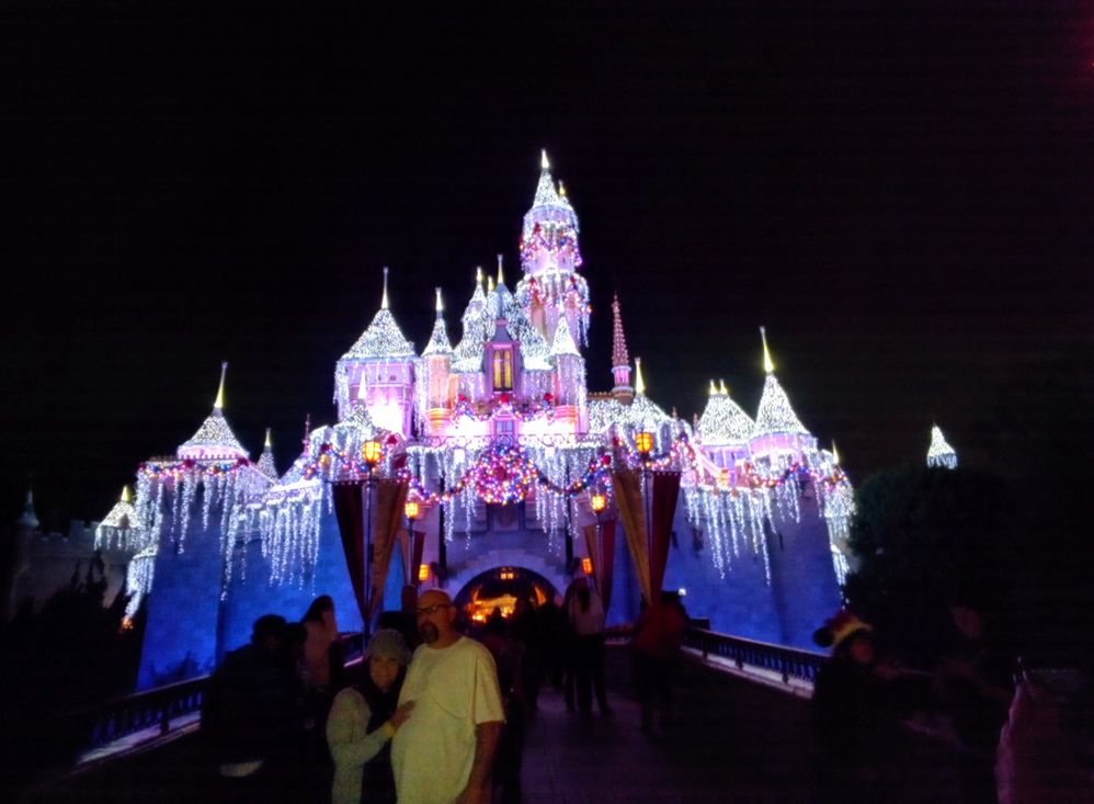Disneyland Castle the last time I was there for the Holiday season!