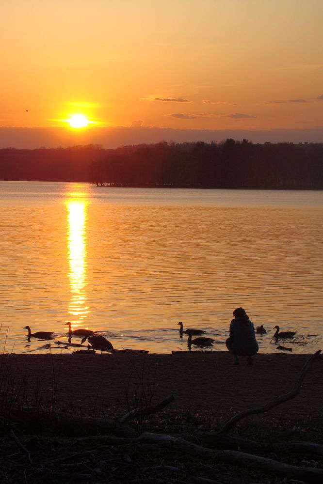 Loch Raven Reservoir, Maryland , USA