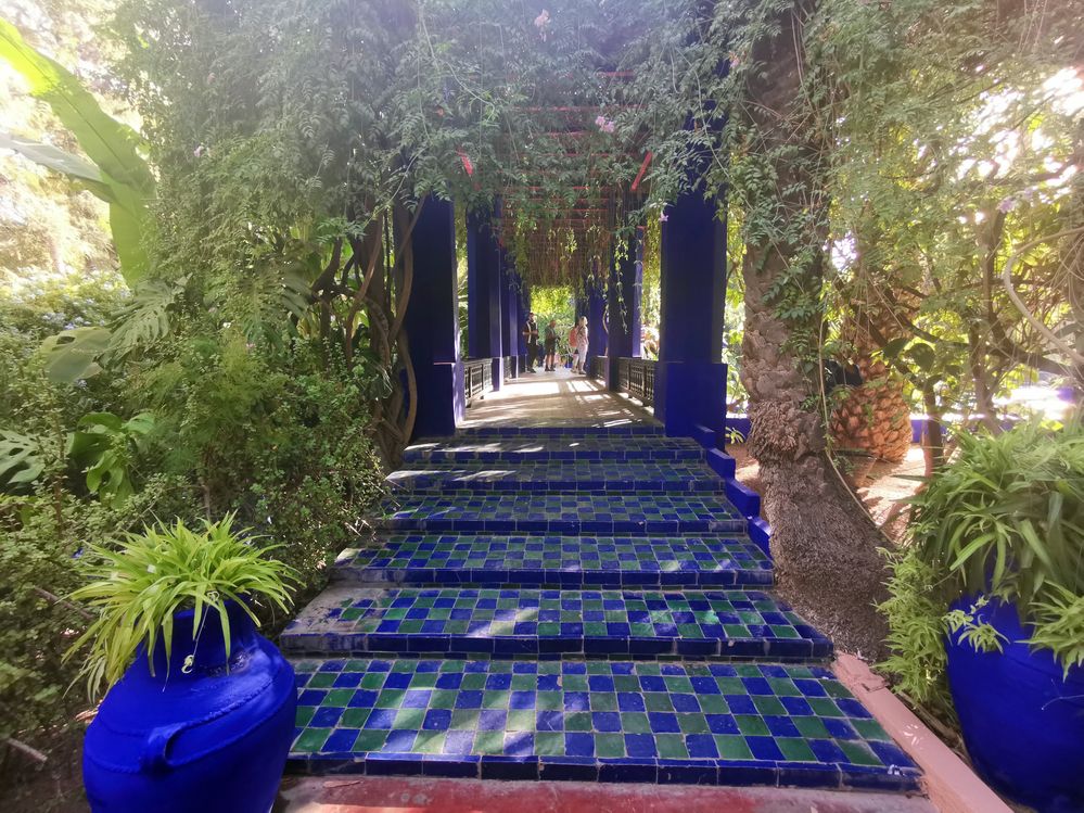 Caption: A photo of blue-and-green stairs leading up to a passageway, covered in lush greenery. There are two big blue pots with plants on both sides of the stairs.