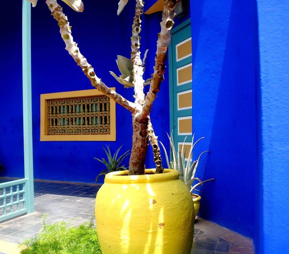 Caption: A photo of a  huge pot with a plant at the Majorelle Garden. (Local Guide @BorrisS)
