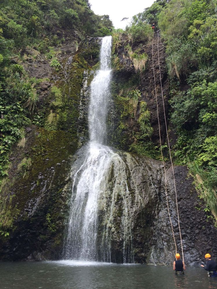 Kitekite Falls, Piha, Waitakere Regional Park
