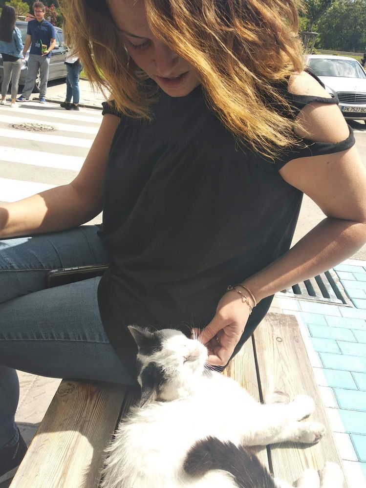 Caption: A photo of Google Moderator @MoniV petting a lovely black and white cat.