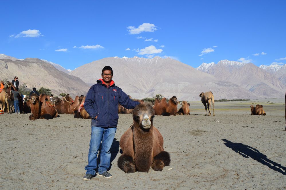 Camel ride in Nubra valley