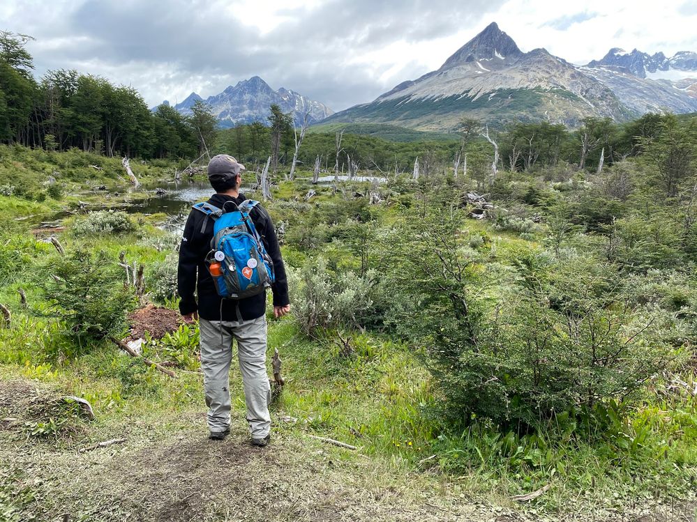 Caption: Mirando la montaña - Ushuaia - Tierra del Fuego - Argentina (Local Guides @FaridMonti)