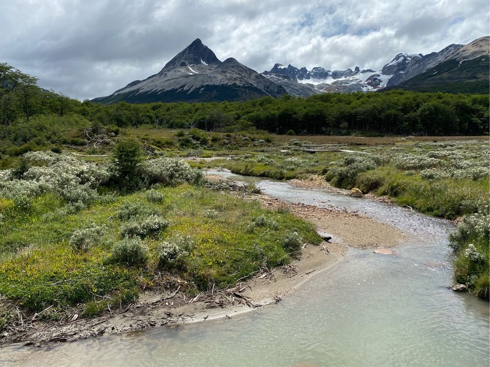 Caption: Postal de la montaña - Ushuaia - Tierra del Fuego - Argentina (Local Guides @FaridMonti)