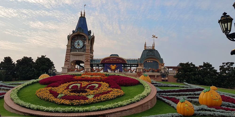 Caption: A photo from Shanghai Disneyland Resort, showing a clock tower and a Halloween-themed garden with pumpkins and a Mickey Mouse flower arrangement. (Local Guide @Vevel)