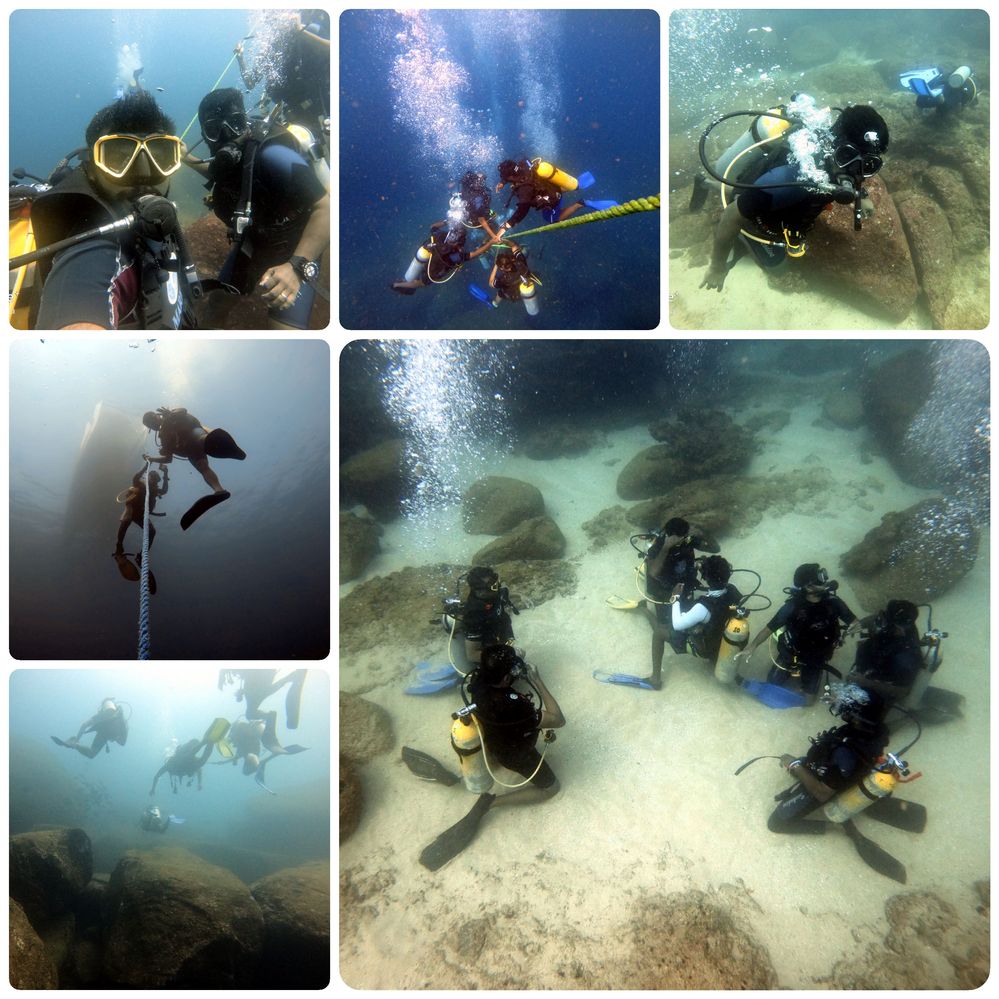 Photo collage of divers during Underwater Meetup