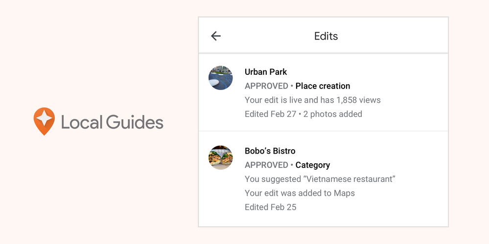 Caption: A screenshot of the edits list in a Google Maps profile showing more information next to the Local Guides logo.