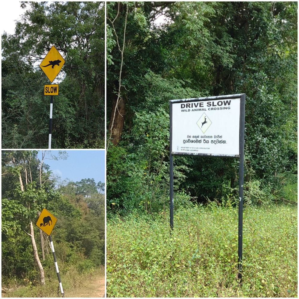 Alert ! sign boards to warn drivers about wild animals