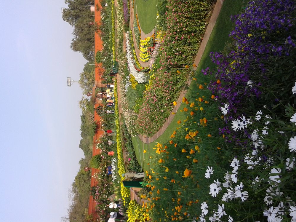 vally of  colorful flowers, Mughal Garden Delhi