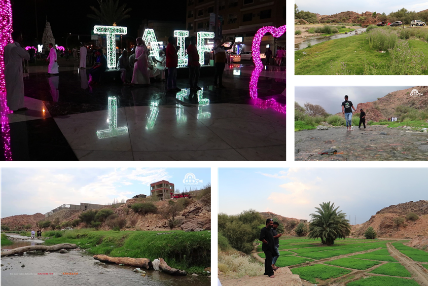 Photos of Taif