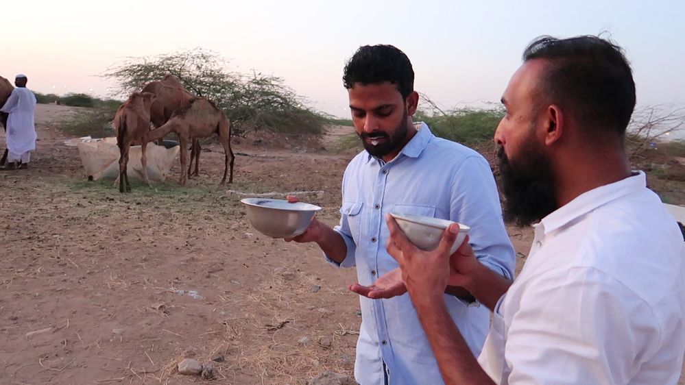 Tasting Camel Milk