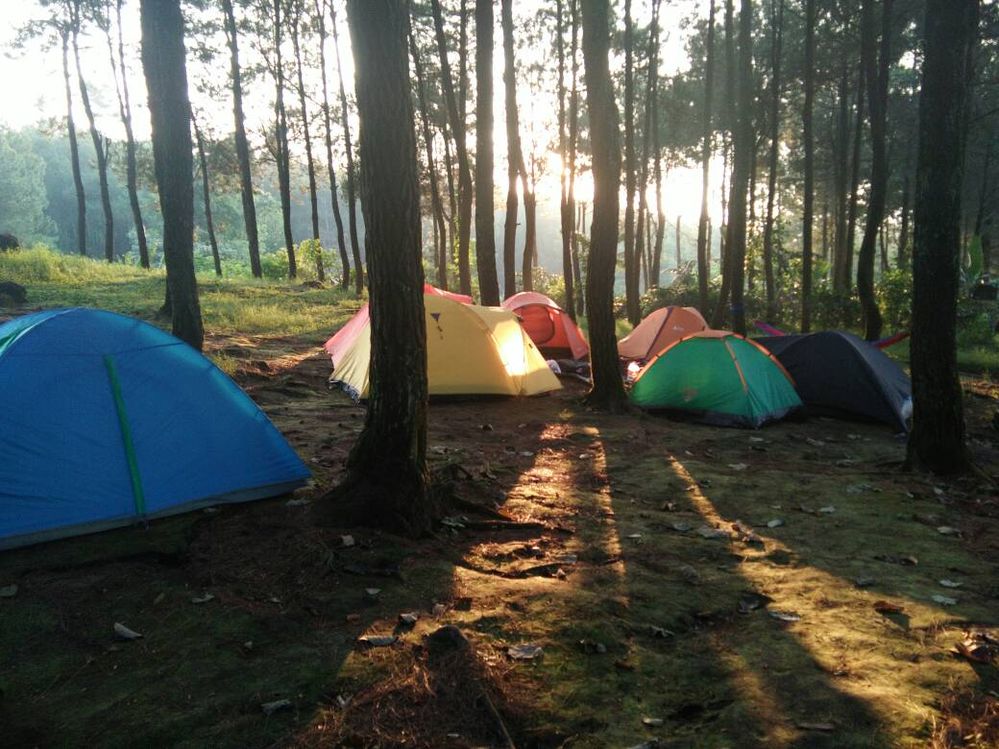 lokasi camping Pos 1 Goa Onto Boego