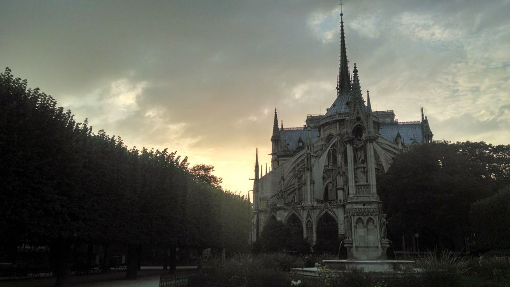 Notre Dame behind.jpg