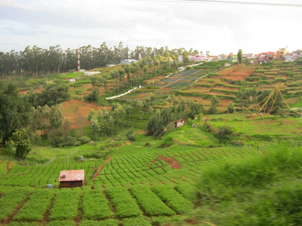 Enjoy the nature in Ooty