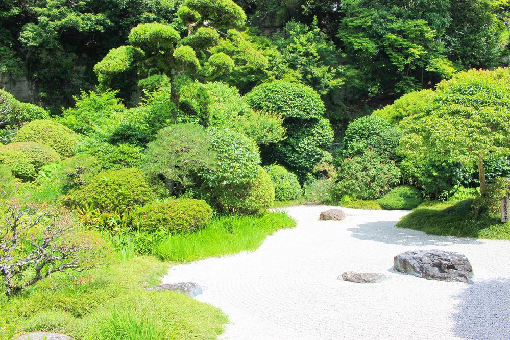 The Garden of Hokokuji Temple