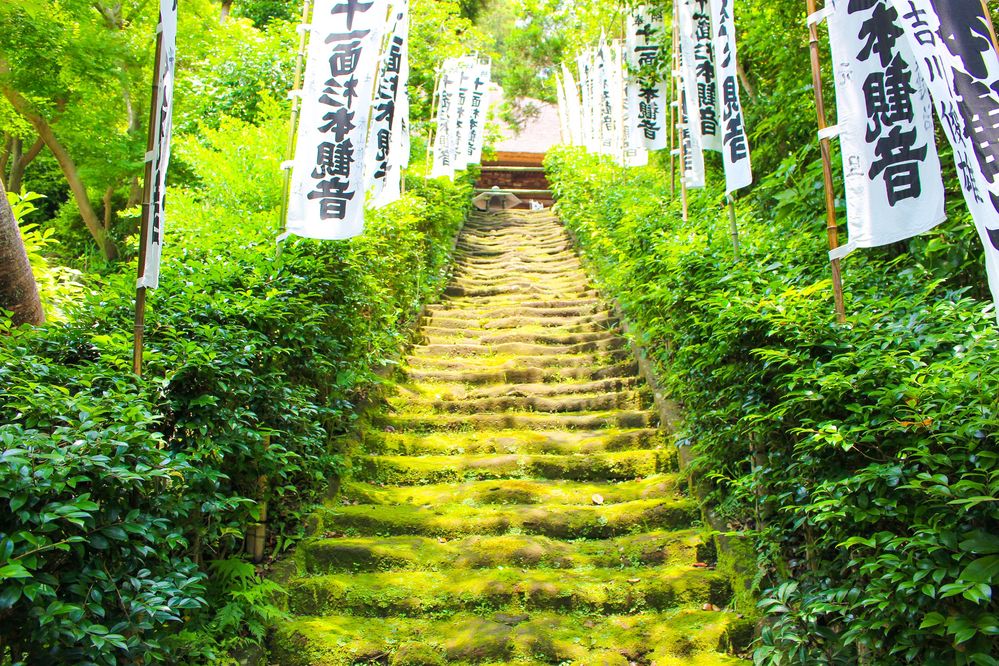 Moss stairway in Sugimotodera Temple