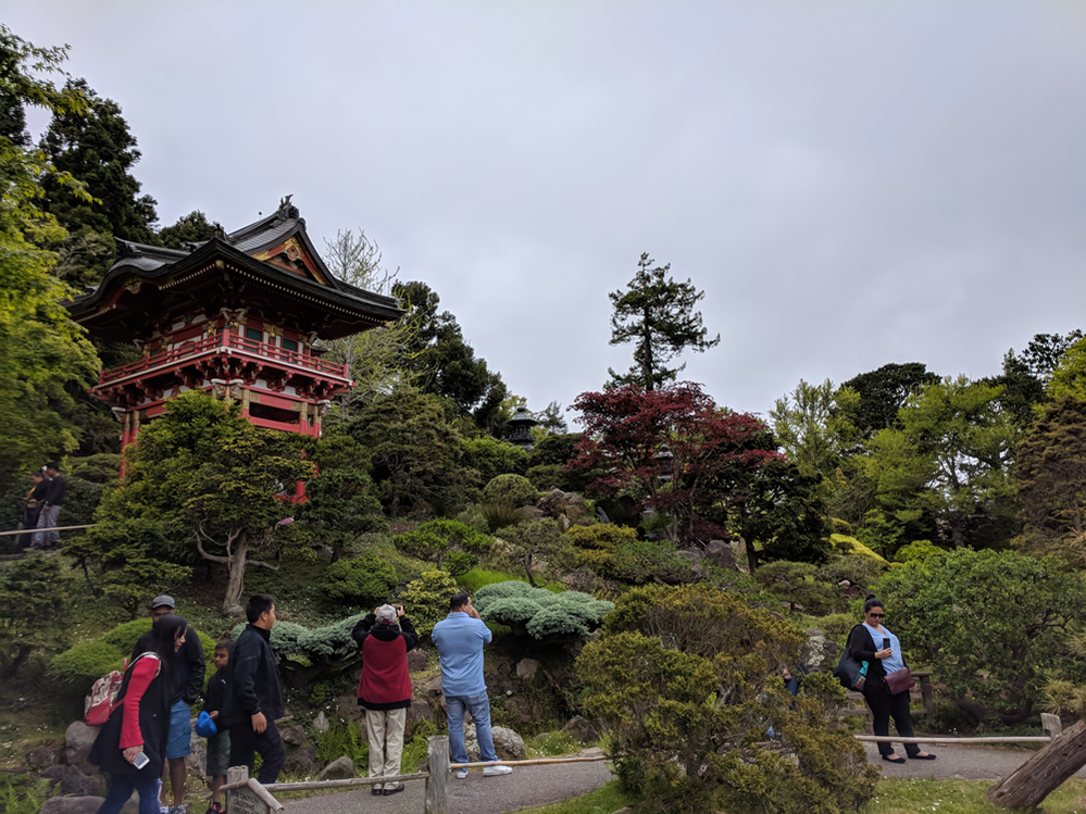 Japanese Tea Garden at Golden Gate Park in San Francisco, CA