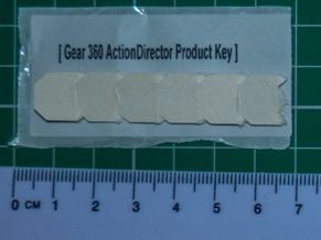 ActionDirector sticky label (key hidden)
