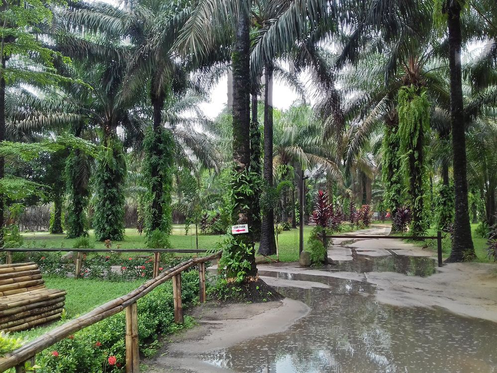 Lufasi Nature Park - Lagos, Nigeria