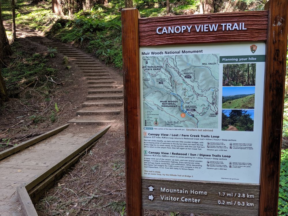 A sign that says "Canopy View Trail" at the base of a concrete stairway heading up.